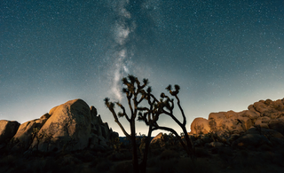 International Dark Sky Parks In The USA With The Best Times To Visit