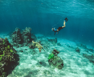 The Best Coves To Snorkel At The Virgin Islands