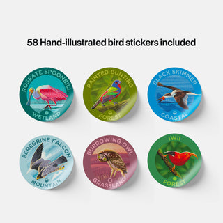 Bird Watching Sticker Bottle | Insulated