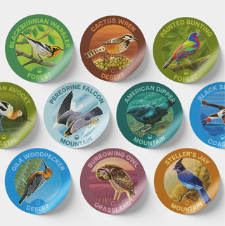 Bird Watching Sticker Bottle | Insulated