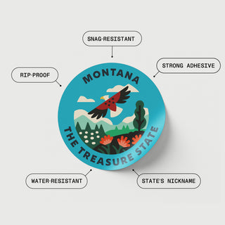 Fifty States Sticker Bottle | Insulated