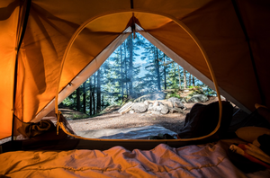 Top Campgrounds at Yosemite National Park